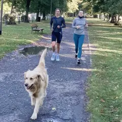 Peut-on courir avec un golden retriever sans risquer des blessures ?