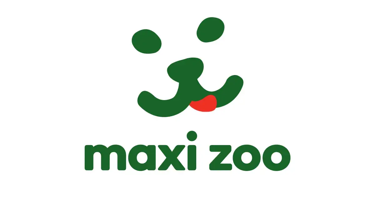 Zdjęcie La meilleure ceinture footing chien pour des courses confortables et sûres